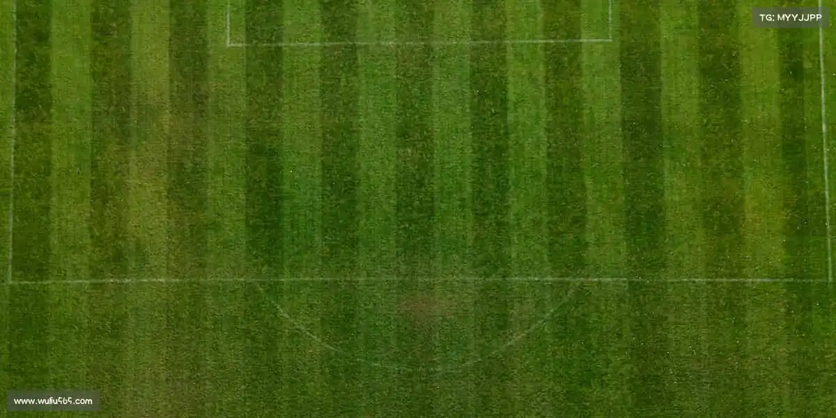 j9九游真人游戏第一品牌——燃烧运动热血,激活无限可能!🏃♂️